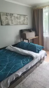 1-к кв. Камчатский край, Петропавловск-Камчатский ул. Тушканова, 29 ...