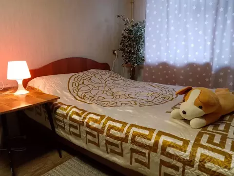 2-к кв. Ленинградская область, Луга просп. Кирова, 87 (45.0 м)