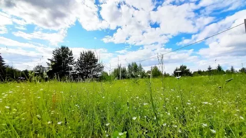 Участок в Кировская область, Кирово-Чепецкий район, Пасеговское с/пос, ...