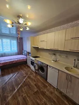 Студия Приморский край, Владивосток ул. Надибаидзе, 32 (24.0 м)