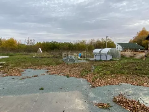 Участок в Новосибирская область, Новосибирский район, Морской ...