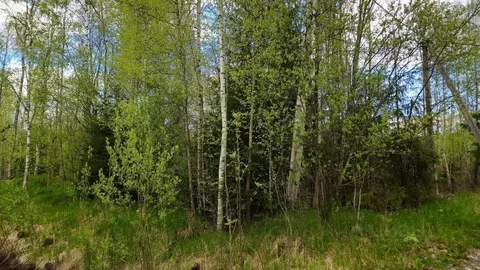 Участок в Ленинградская область, Выборгский район, Полянское с/пос, ...