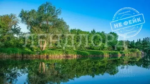 Участок в Ростовская область, Неклиновский район, с. Троицкое ул. ...