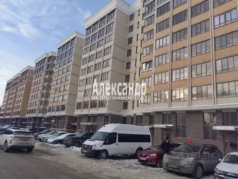 Студия Санкт-Петербург, Санкт-Петербург, Ломоносов Михайловская ул., ...