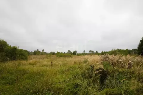 Участок в Калужская область, Перемышльский район, Большие Козлы с/пос, ...