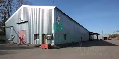 Склад в Московская область, Ступино городской округ, Михнево пгт ул. ...