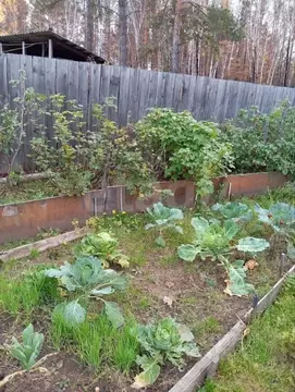 Дом в Забайкальский край, Читинский район, № 58 Озон СНТ ул. ...