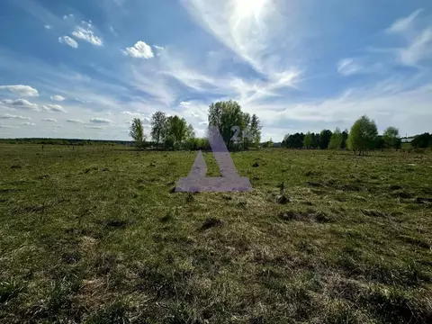 Участок в Алтайский край, Первомайский район, с. Баюновские ключи ул. ...