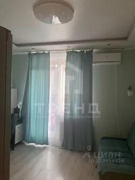 Студия Санкт-Петербург Усть-Славянка тер., ул. Заводская, 15 (25.0 м)