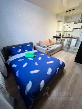 Студия Московская область, Электросталь ул. Николаева, 23 (25.0 м)