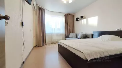 1-к кв. Воронежская область, Воронеж Московский просп., 128 (37.0 м)