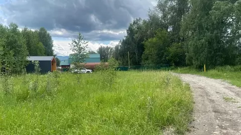 Участок в Алтай, Майминский район, пос. Дубровка ул. Сафронова, 91А ...