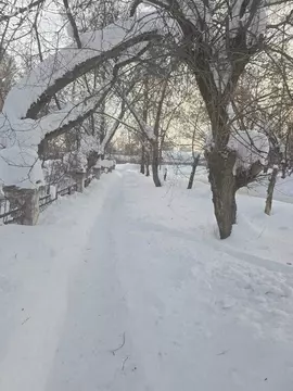 1к в 7-комнатной квартире (13.6 м)