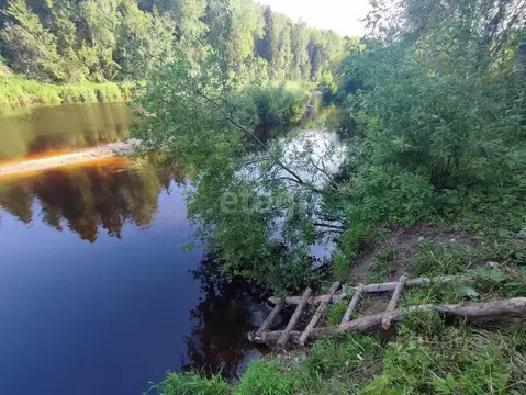 Участок в Вологодская область, д. Фроловское  (10.0 сот.)