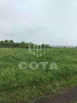 Участок в Воронежская область, Новоусманский район, ...
