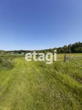 Участок в Татарстан, Лаишевский район, Нармонское с/пос, с. Тетеево  ...
