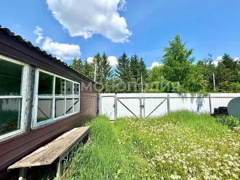 Участок в Амурская область, Белогорск Хвойная ул., 8А (10.0 сот.)