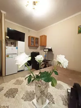 Квартира, студия, 24.6 м