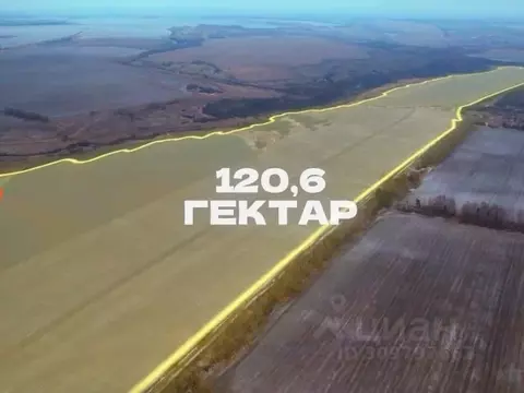 Участок в Татарстан, Верхнеуслонский район, с. Ямбулатово  (12060.0 ...