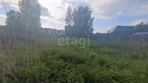Участок в Челябинская область, Кыштым пл. Карла Маркса (6.1 сот.)