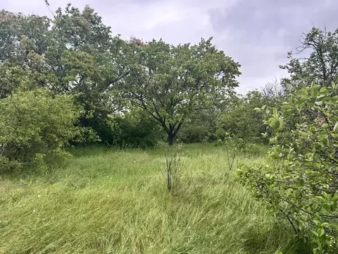 Участок в Крым, Симферопольский район, Урожайновское с/пос, ...