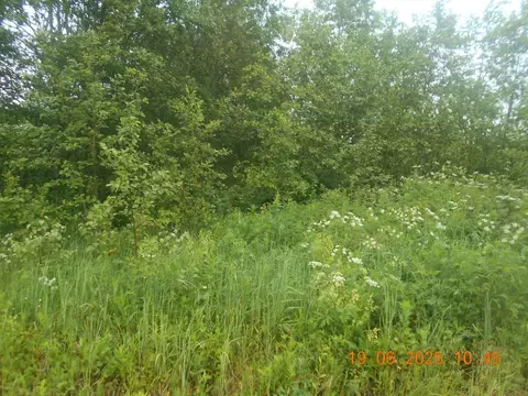 Участок в Московская область, Шаховская муниципальный округ, д. ...