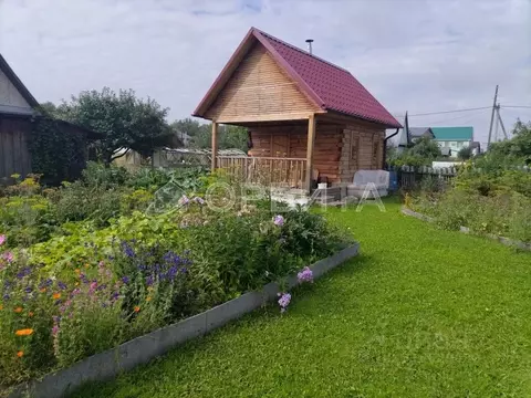 Дом в Тюменская область, Тюмень Тюменец СНТ, ул. Клубничная (30 м)