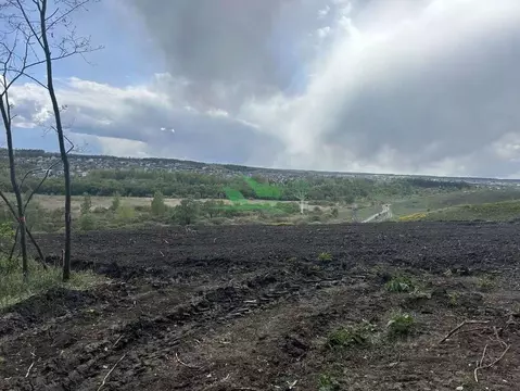 Участок в Белгородская область, Белгородский район, Никольское с/пос, ...