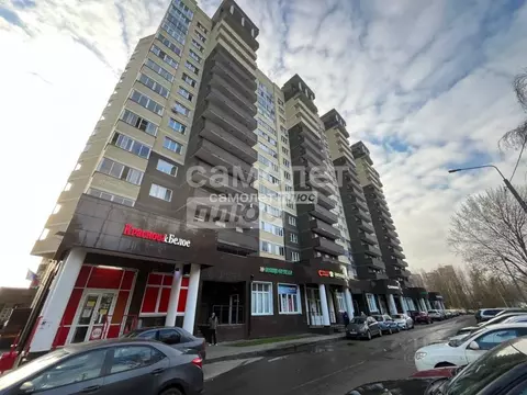 Студия Московская область, Ногинск Богородский городской округ, ул. ...