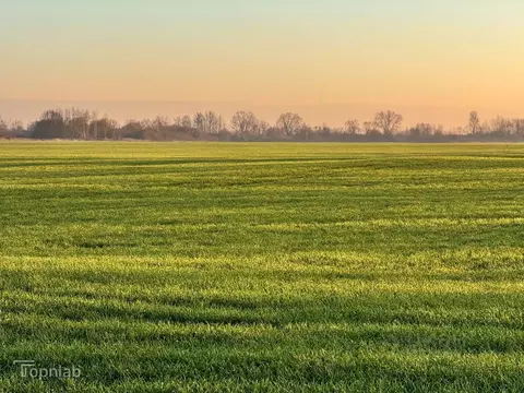 Участок в Калининградская область, Гурьевский муниципальный округ, ...
