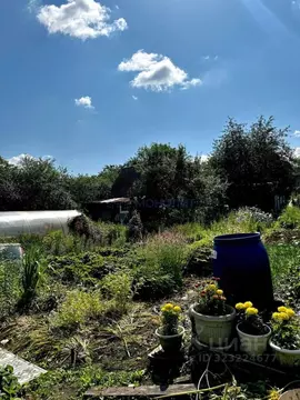 Дом в Нижегородская область, Нижний Новгород Дружба СНТ, 377 (29 м)