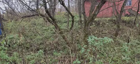Участок в Московская область, Талдомский городской округ, д. Кутачи  ...