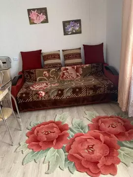 Студия Алтайский край, Барнаул Балтийская ул., 101 (26.9 м)