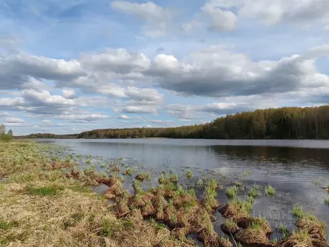 Участок в Московская область, Волоколамский муниципальный округ, д. ...