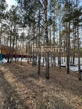 Участок в Саха (Якутия), Якутск Росинка мкр, 52к1 (10.0 сот.)