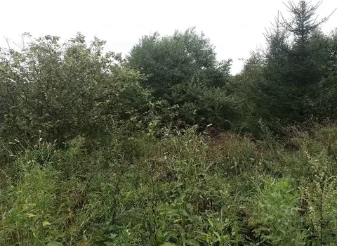 Участок в Московская область, Дмитровский муниципальный округ, д. ...