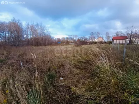 Участок в Светлогорский городской округ, посёлок Донское (8 м)