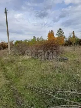 Участок в Ростовская область, Азовский район, Новоалександровское ...