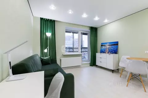 Студия Ленинградская область, Мурино Всеволожский район, ул. Шувалова, ...