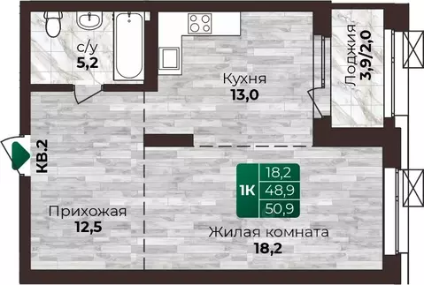 1-к кв. Алтайский край, Барнаул ул. 6-я Нагорная, 15Г/12 (50.9 м)