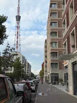 Помещение свободного назначения в Санкт-Петербург Аптекарский просп., ...