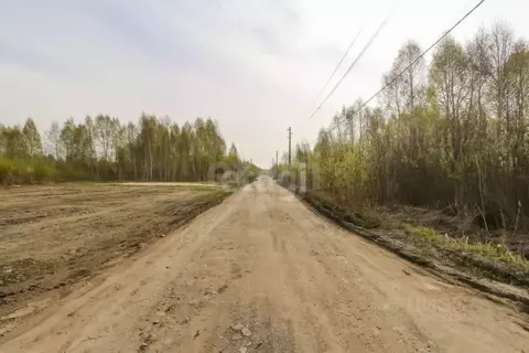 Участок в Тюменская область, Нижнетавдинский муниципальный округ, ...