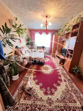 3-к кв. Пермский край, Лысьва Озерная ул., 11 (54.6 м)