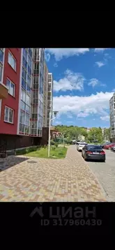 1-к кв. Калининградская область, Светлогорск Майский проезд, 11 (26.0 ...