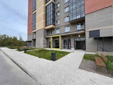 Помещение свободного назначения в Санкт-Петербург, Санкт-Петербург, ...