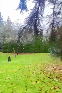 Участок в Шульгино, территория ГП-4, Цветочная улица, 9 (11 м)