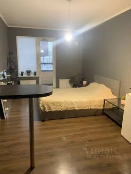 Студия Санкт-Петербург просп. Ветеранов, 175 (25.0 м)