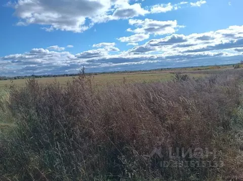 Участок в Московская область, Орехово-Зуевский городской округ, д. ...