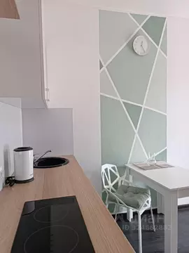 Студия Санкт-Петербург ул. Орбитальная, 9к1 (24.3 м)