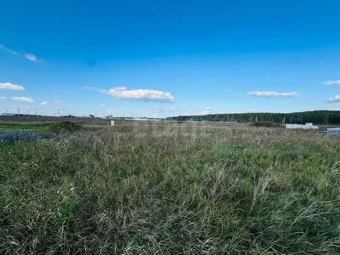 Участок в Челябинская область, Сосновский муниципальный округ, д. ...